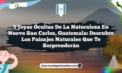 5 Joyas Ocultas de la Naturaleza en Nuevo San Carlos, Guatemala: Descubre los Paisajes Naturales que Te Sorprenderán