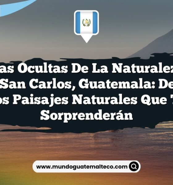 5 Joyas Ocultas de la Naturaleza en Nuevo San Carlos, Guatemala: Descubre los Paisajes Naturales que Te Sorprenderán
