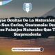 5 Joyas Ocultas de la Naturaleza en Nuevo San Carlos, Guatemala: Descubre los Paisajes Naturales que Te Sorprenderán