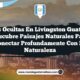 5 Joyas Ocultas en Lívingston Guatemala: Descubre Paisajes Naturales para Conectar Profundamente con la Naturaleza