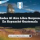 Actividades al Aire Libre Sorprendentes en Sayaxché Guatemala