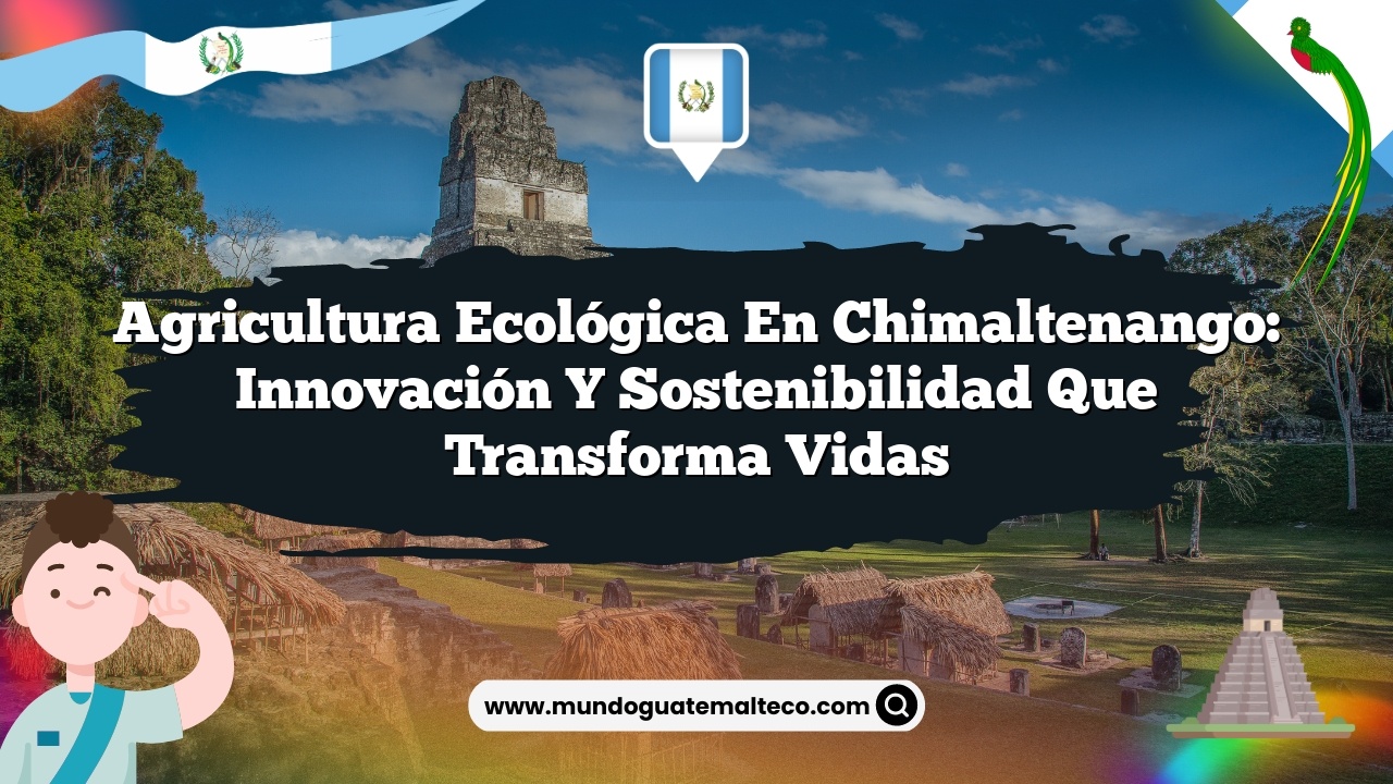 Agricultura ecológica en Chimaltenango: Innovación y sostenibilidad que transforma vidas