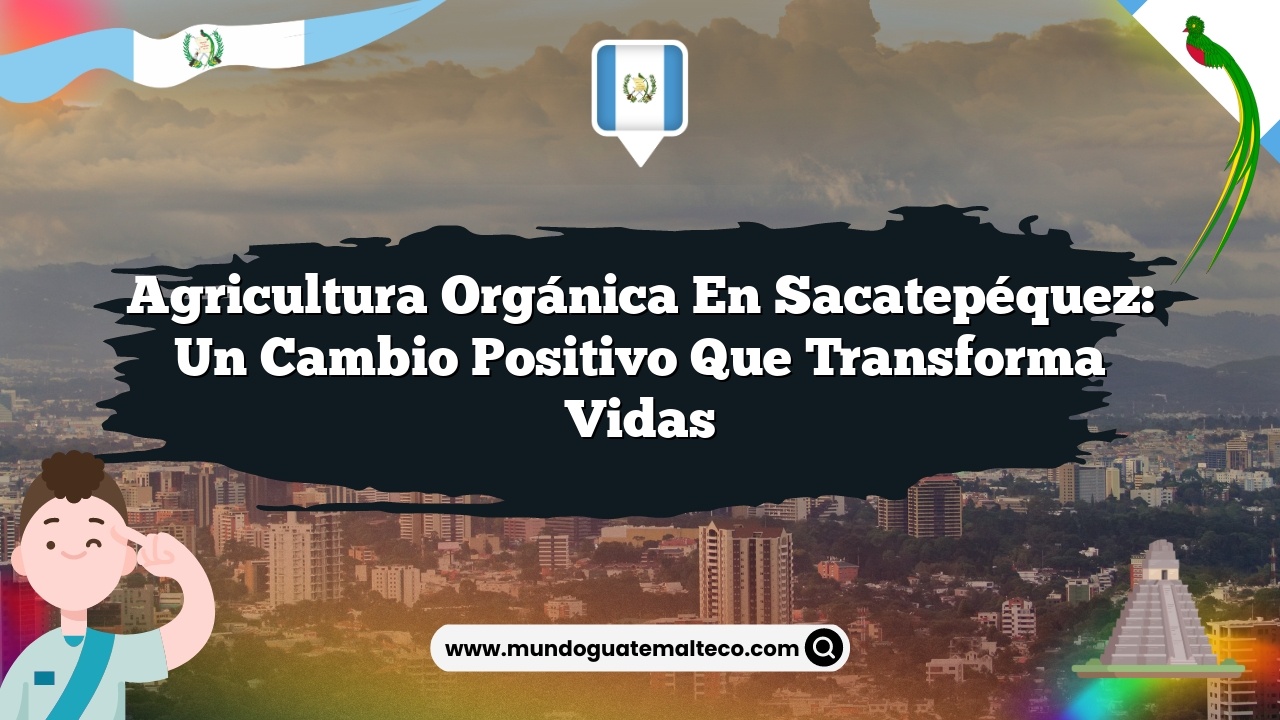 Agricultura orgánica en Sacatepéquez: Un cambio positivo que transforma vidas