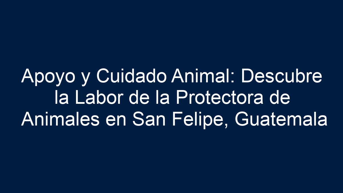 Apoyo y Cuidado Animal: Descubre la Labor de la Protectora de Animales en San Felipe, Guatemala - 3