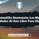 Chiquimulilla Guatemala: Las Mejores Actividades al Aire Libre para Disfrutar