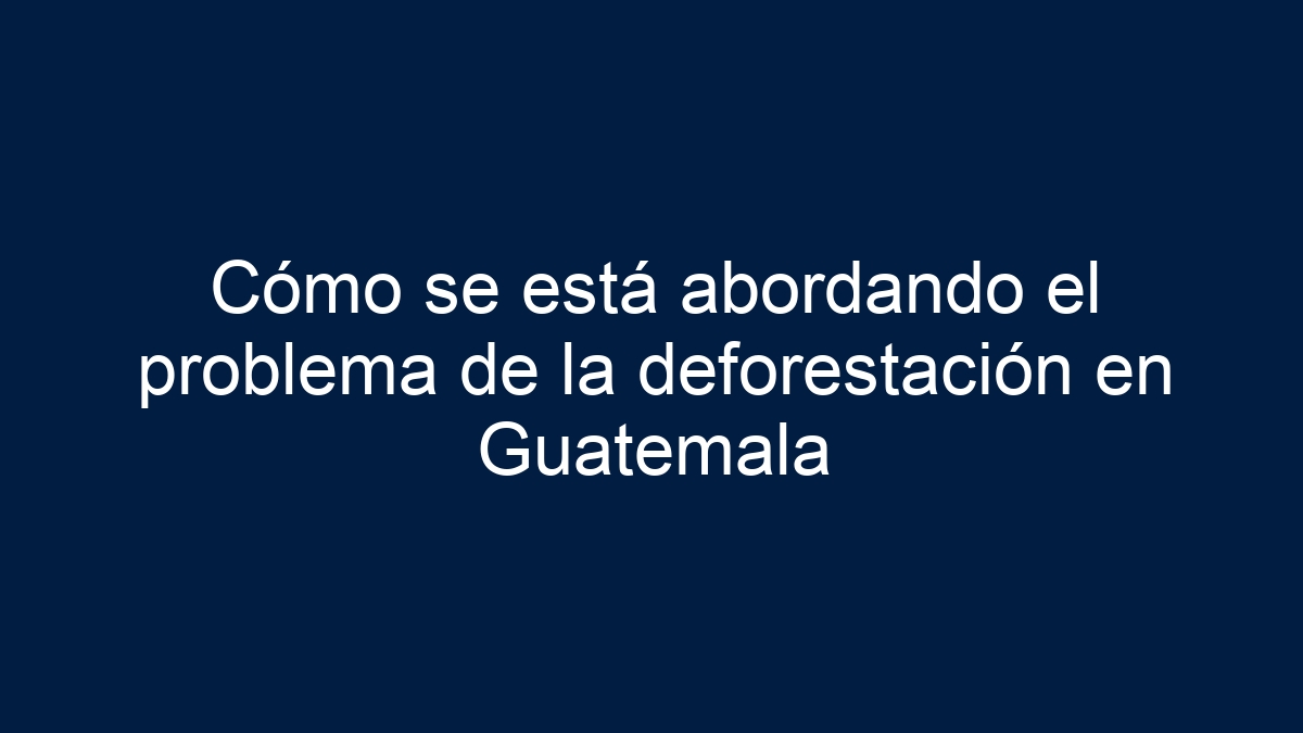 Cómo se está abordando el problema de la deforestación en Guatemala - 15