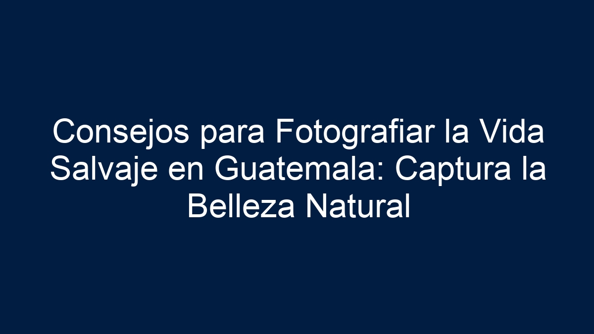 Imagen de Consejos para Fotografiar la Vida Salvaje en Guatemala: Captura la Belleza Natural Consejos para Fotografiar la Vida Salvaje en Guatemala: Captura la Belleza Natural - 1