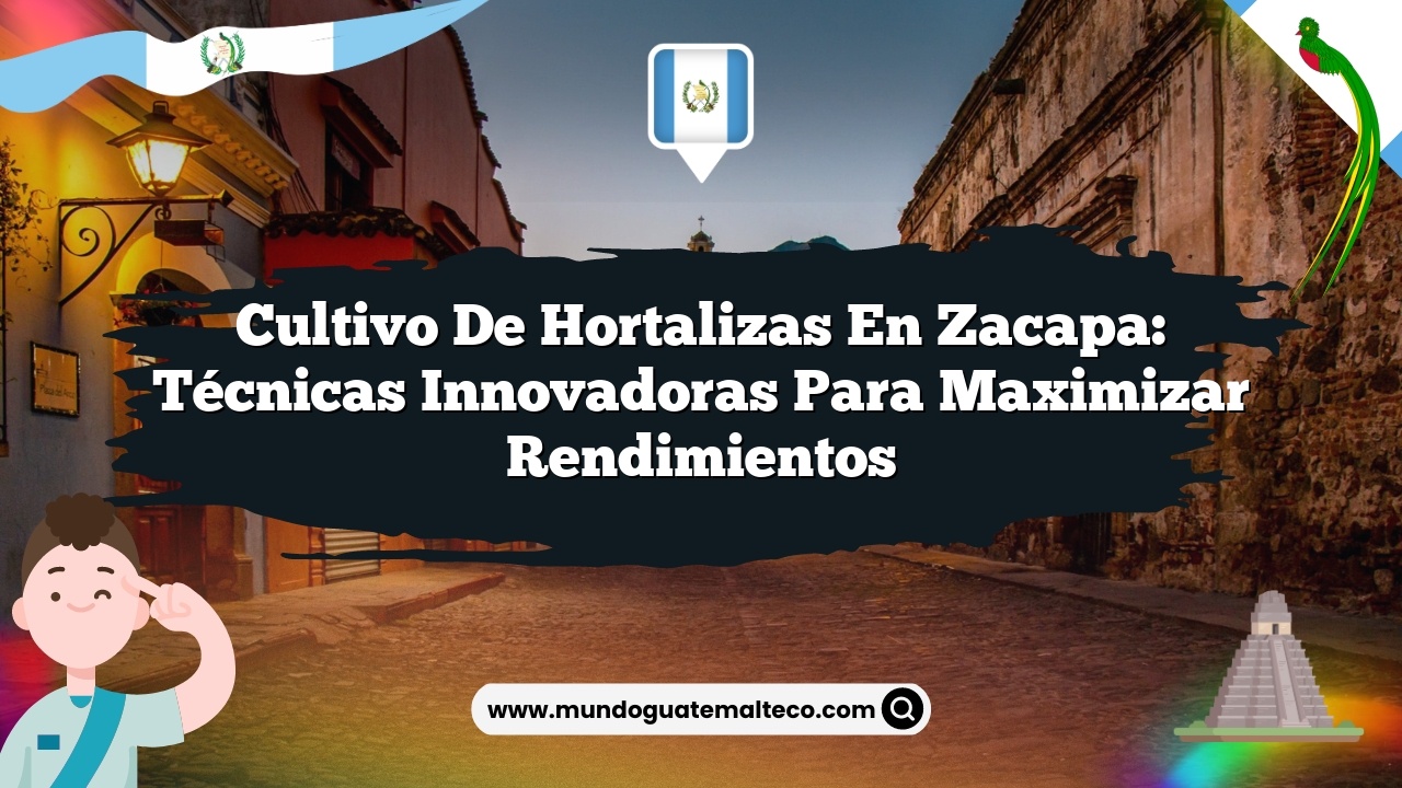 Cultivo de hortalizas en Zacapa: Técnicas innovadoras para maximizar rendimientos