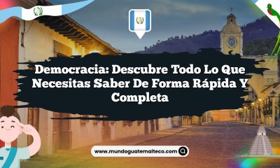 Democracia: Descubre Todo lo Que Necesitas Saber de Forma Rápida y Completa