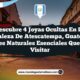 Descubre 4 Joyas Ocultas en la Naturaleza de Atescatempa, Guatemala: Paisajes Naturales Esenciales que Debes Visitar