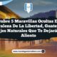 Descubre 5 Maravillas Ocultas en la Naturaleza de La Libertad, Guatemala: Paisajes Naturales que Te Dejarán Sin Aliento