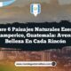 Descubre 6 Paisajes Naturales Esenciales en Champerico, Guatemala: Aventura y Belleza en Cada Rincón