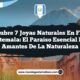Descubre 7 Joyas Naturales en Flores Guatemala: El Paraíso Esencial para Amantes de la Naturaleza
