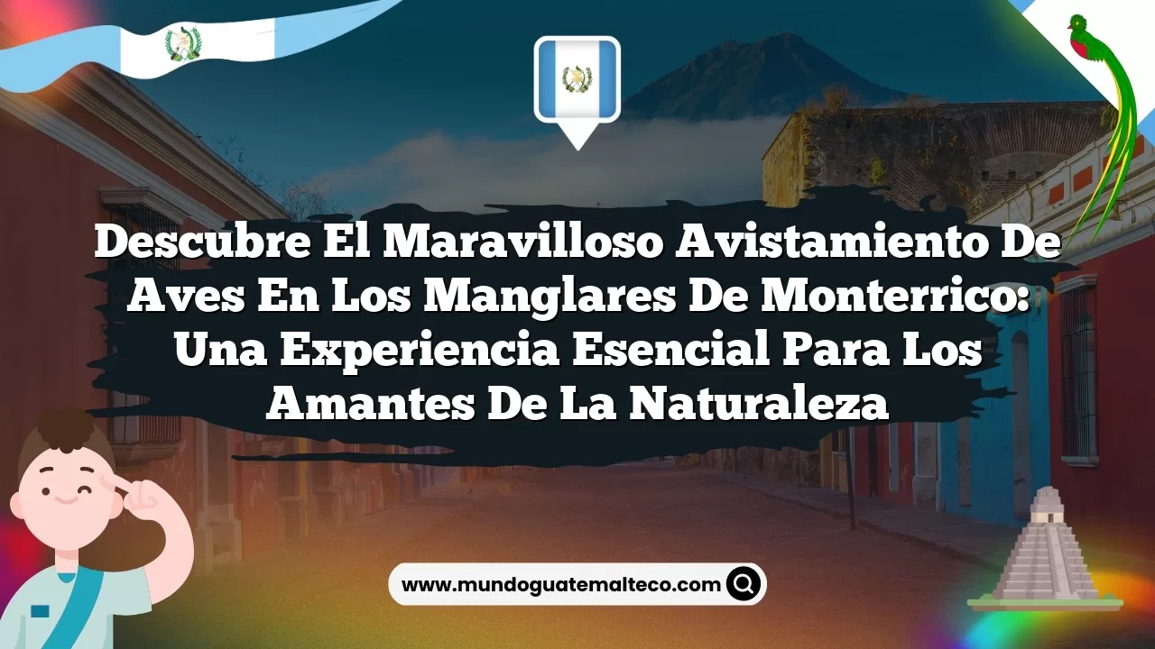 Imagen de Descubre el Maravilloso Avistamiento de Aves en los Manglares de Monterrico: Una Experiencia Esencial para los Amantes de la Naturaleza Descubre el Maravilloso Avistamiento de Aves en los Manglares de Monterrico: Una Experiencia Esencial para los Amantes de la Naturaleza