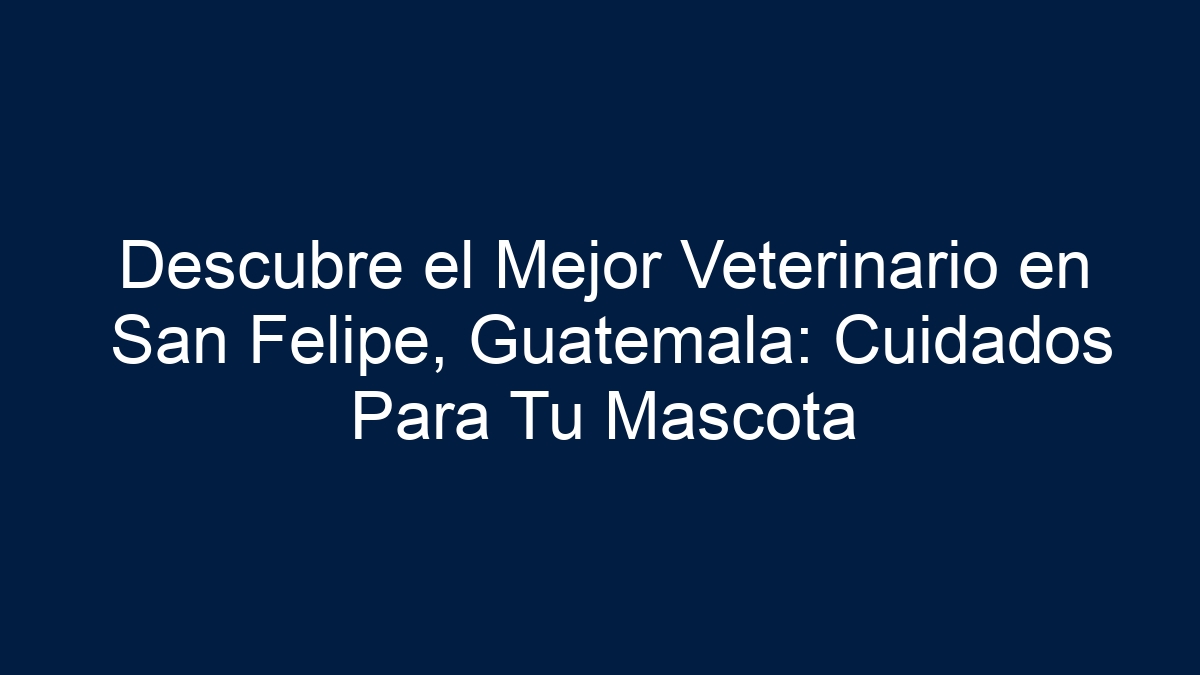 Descubre el Mejor Veterinario en San Felipe, Guatemala: Cuidados Para Tu Mascota - 19