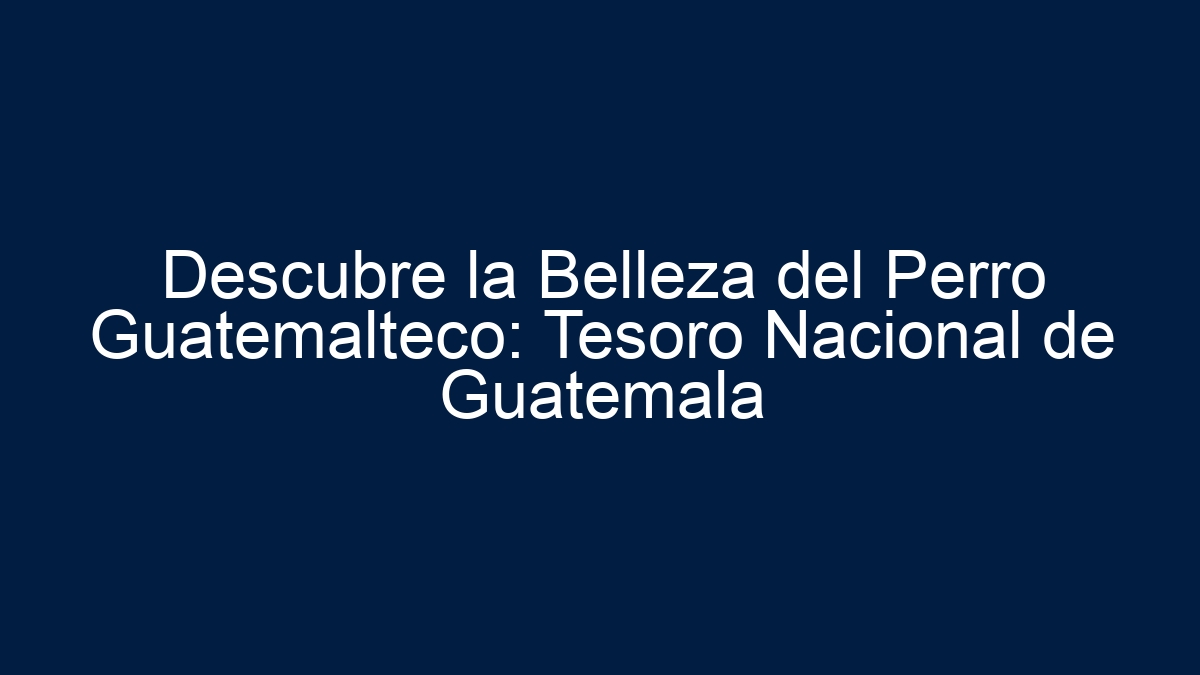 Descubre la Belleza del Perro Guatemalteco: Tesoro Nacional de Guatemala - 12
