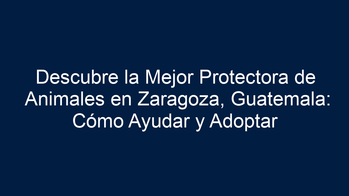 Descubre la Mejor Protectora de Animales en Zaragoza, Guatemala: Cómo Ayudar y Adoptar - 27
