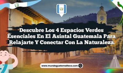 Descubre los 4 Espacios Verdes Esenciales en El Asintal Guatemala para Relajarte y Conectar con la Naturaleza