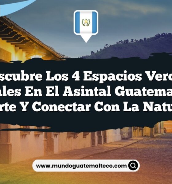 Descubre los 4 Espacios Verdes Esenciales en El Asintal Guatemala para Relajarte y Conectar con la Naturaleza
