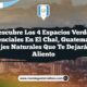 Descubre los 4 Espacios Verdes Esenciales en El Chal, Guatemala: Paisajes Naturales que Te Dejarán Sin Aliento