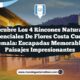 Descubre los 4 Rincones Naturales Esenciales de Flores Costa Cuca, Guatemala: Escapadas Memorables en Paisajes Impresionantes