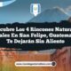 Descubre los 4 Rincones Naturales Esenciales en San Felipe, Guatemala que Te Dejarán Sin Aliento