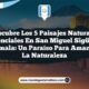 Descubre los 5 Paisajes Naturales Esenciales en San Miguel Sigüilá, Guatemala: Un Paraíso para Amantes de la Naturaleza