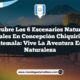 Descubre los 6 Escenarios Naturales Esenciales en Concepción Chiquirichapa, Guatemala: Vive la Aventura en la Naturaleza