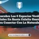 Descubre los 6 Espacios Verdes Esenciales en Santa Eulalia Guatemala para Conectar con la Naturaleza