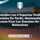 Descubre los 6 Espacios Verdes Esenciales en Tactic, Guatemala: Un Paraíso para los Amantes de la Naturaleza