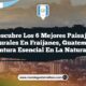 Imagen de Descubre los 6 Mejores Paisajes Naturales en Fraijanes, Guatemala: Aventura Esencial en la Naturaleza Descubre los 6 Mejores Paisajes Naturales en Fraijanes, Guatemala: Aventura Esencial en la Naturaleza