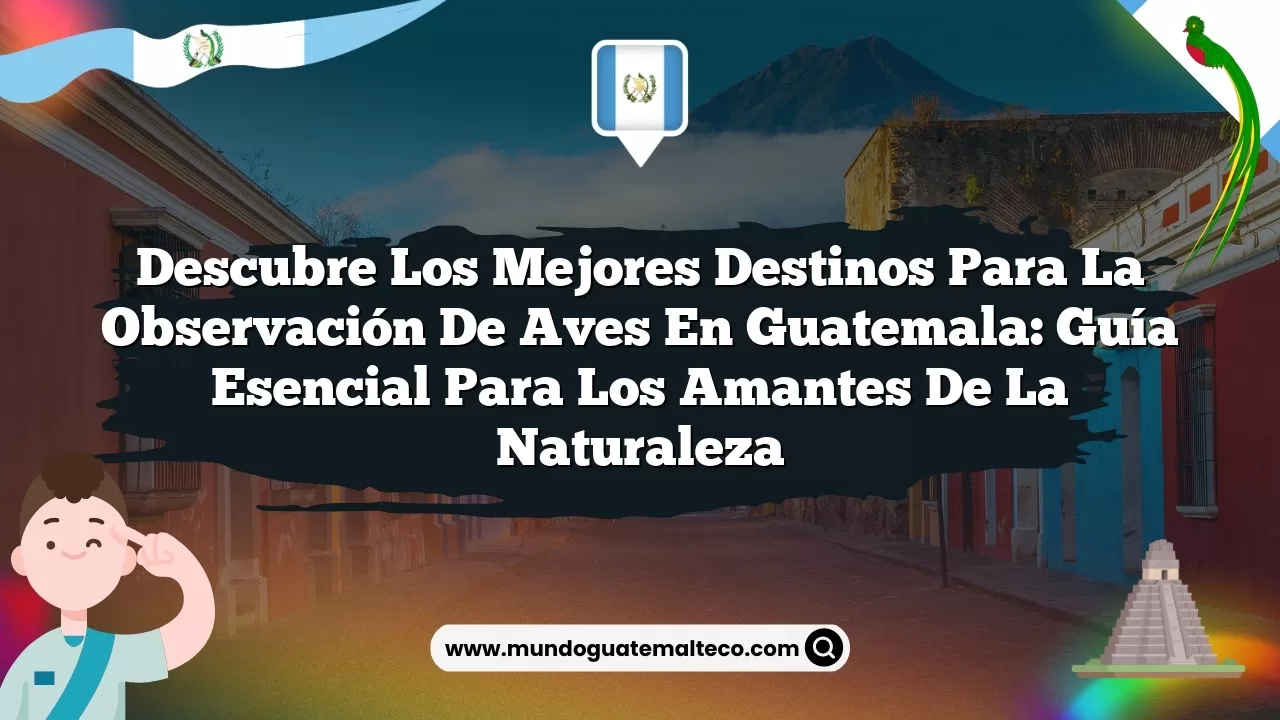 Descubre los Mejores Destinos para la Observación de Aves en Guatemala: Guía Esencial para los Amantes de la Naturaleza