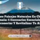 Descubre Paisajes Naturales en Chiantla, Guatemala: 5 Escenarios Esenciales para Desconectar y Revitalizar tu Alma