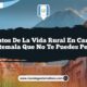 Encantos de la Vida Rural en Camotán Guatemala que No Te Puedes Perder