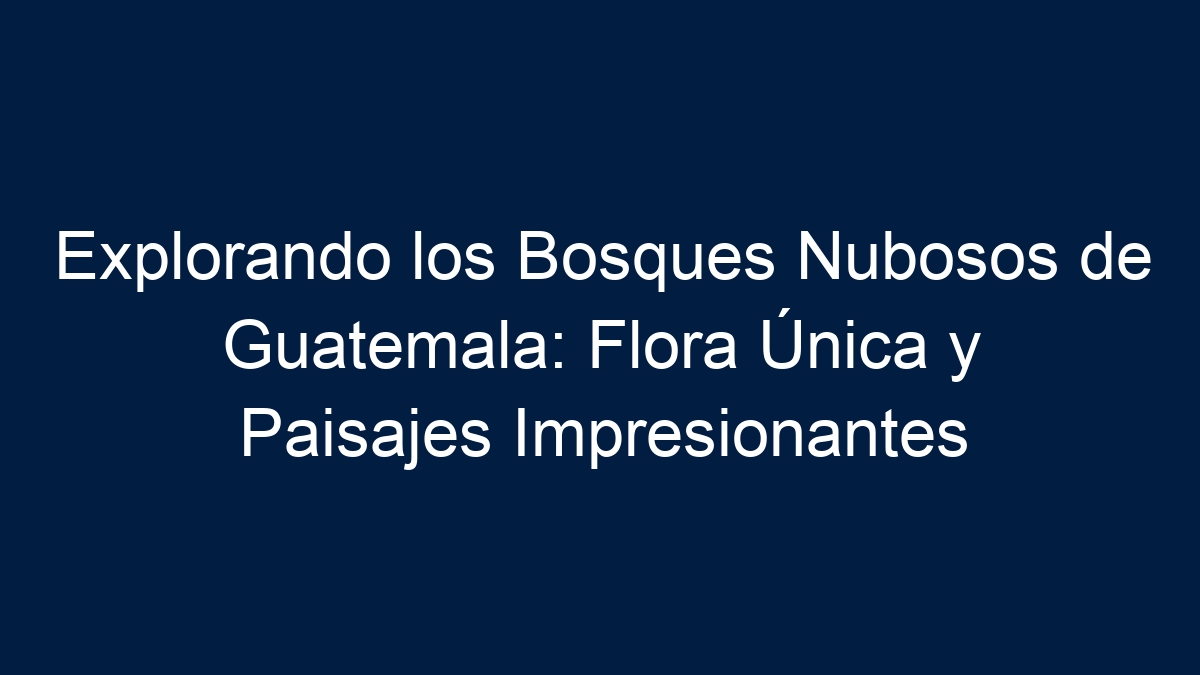 Explorando los Bosques Nubosos de Guatemala: Flora Única y Paisajes Impresionantes - 11