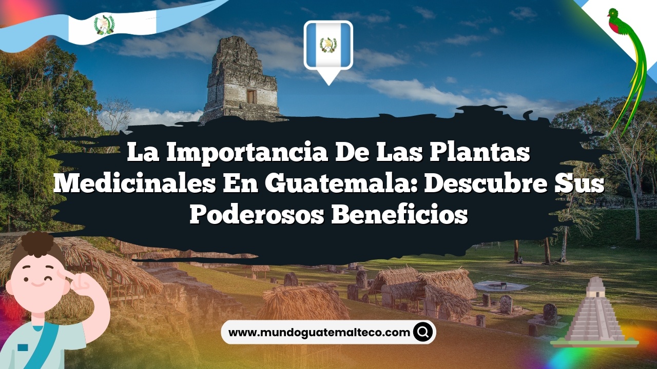 La importancia de las plantas medicinales en Guatemala: Descubre sus poderosos beneficios