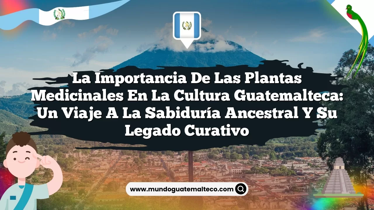 La importancia de las plantas medicinales en la cultura guatemalteca: un viaje a la sabiduría ancestral y su legado curativo