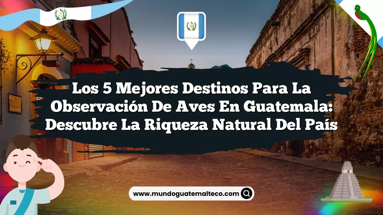 Imagen de Los 5 Mejores Destinos para la Observación de Aves en Guatemala: Descubre la Riqueza Natural del País Los 5 Mejores Destinos para la Observación de Aves en Guatemala: Descubre la Riqueza Natural del País