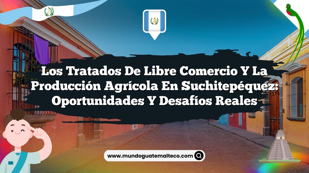 Los tratados de libre comercio y la producción agrícola en Suchitepéquez: Oportunidades y desafíos reales