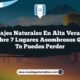 Paisajes Naturales en Alta Verapaz: Descubre 7 Lugares Asombrosos que No Te Puedes Perder