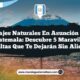 Paisajes Naturales en Asunción Mita Guatemala: Descubre 5 Maravillas Ocultas que Te Dejarán Sin Aliento
