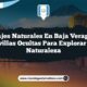 Paisajes Naturales en Baja Verapaz: 5 Maravillas Ocultas para Explorar en la Naturaleza