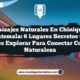 Paisajes Naturales en Chinique Guatemala: 6 Lugares Secretos que Debes Explorar para Conectar con la Naturaleza