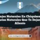 Paisajes Naturales en Chiquimula: 8 Escenarios Naturales que Te Dejarán Sin Aliento