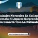Paisajes Naturales en Cuilapa Guatemala: 5 Lugares Sorprendentes para Conectar con la Naturaleza