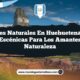 Paisajes Naturales en Huehuetenango: 6 Joyas Escénicas para los Amantes de la Naturaleza
