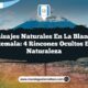 Paisajes Naturales en La Blanca Guatemala: 4 Rincones Ocultos en la Naturaleza