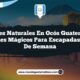 Paisajes Naturales en Ocós Guatemala: 5 Rincones Mágicos para Escapadas de Fin de Semana