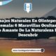Paisajes Naturales en Olintepeque Guatemala: 6 Maravillas Ocultas que Todo Amante de la Naturaleza Debe Descubrir