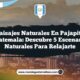 Paisajes Naturales en Pajapita Guatemala: Descubre 5 Escenarios Naturales para Relajarte